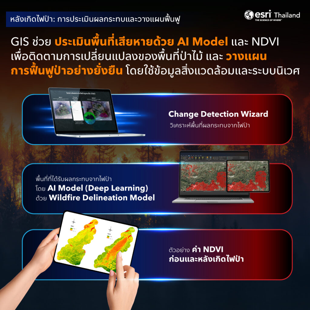 การใช้ GIS และ AI Model วิเคราะห์พื้นที่เสียหายจากไฟป่าด้วยค่า NDVI และ Change Detection เพื่อประเมินผลกระทบและวางแผนฟื้นฟูป่าอย่างยั่งยืน