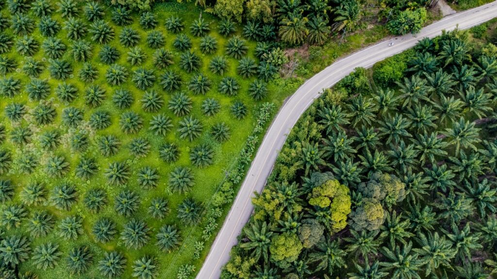การใช้ภาพถ่ายดาวเทียมร่วมกับ ArcGIS เพื่อวิเคราะห์พื้นที่และติดตามความเสี่ยงใน Supply Chain
